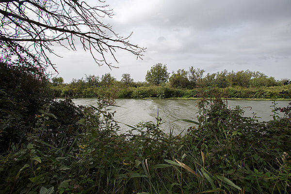 Le chenal actuel du Grand Rhône